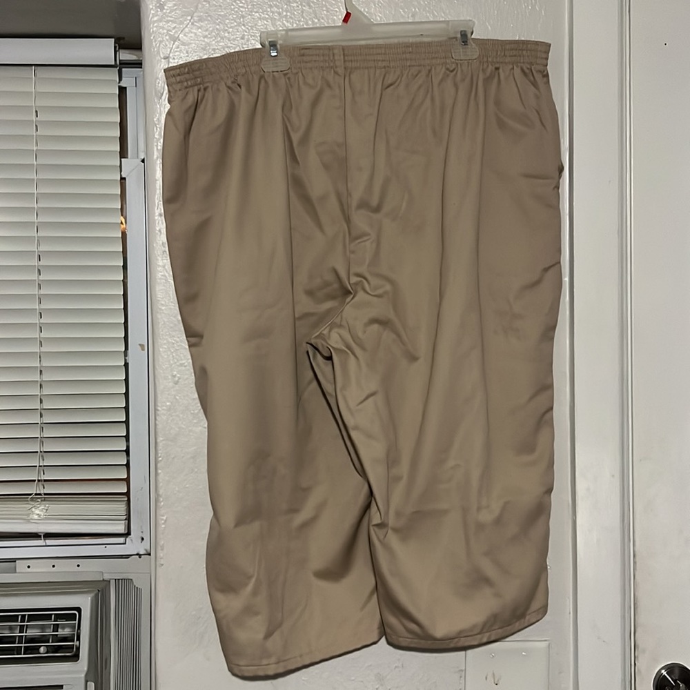 Capris - Picture 4 of 5